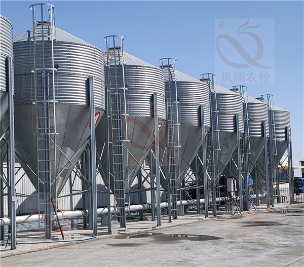 30���B(y��ng)ֳ����